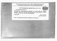 Pucciniastrum epilobii image